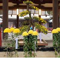 【埼玉】花手水が美しい神社