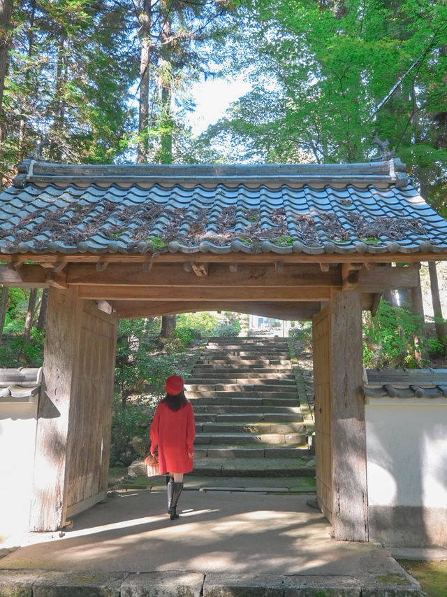 【兵庫】秋の映え写真、マストスポット🎨 🍁