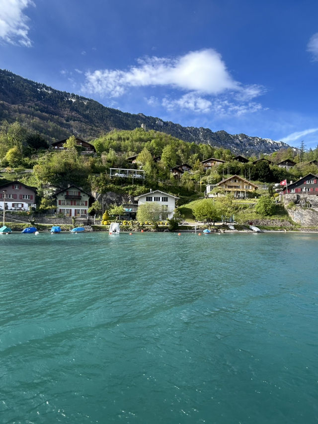 Swiss dreams 🇨🇭 