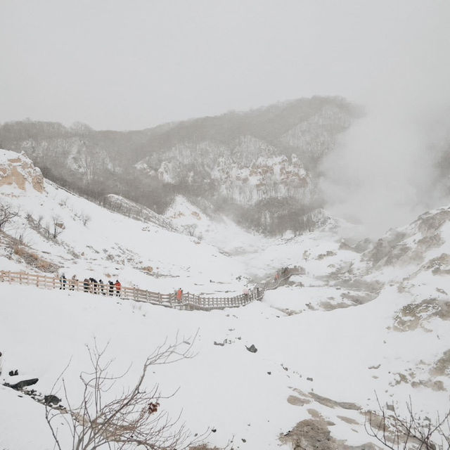 เที่ยวฮอกไกโดแบบฟินๆ จุกๆ ใน 5 วัน 4 คืน⛄️❄️🇯🇵