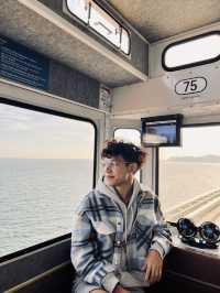 Blue Line Park รถไฟปุ๊กปิ๊กสุดน่ารัก 🚊🇰🇷