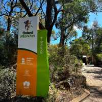 Adelaide Cleland Wildlife Park