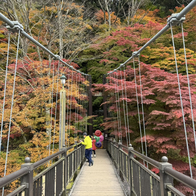 紅葉滿天的紅葉谷大吊橋