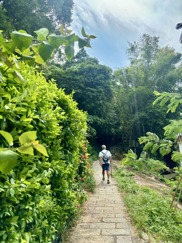 【西貢】蕉坑自然教育徑：星級自然美景，適合初心者的行山徑