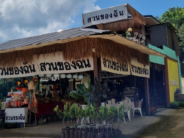 แวะมาเติมความสดใส ในสวนส้ม🍊จังหวัดเชียงใหม่
