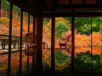 【佐賀県】息を呑む逆さ紅葉のリフレクション！環境芸術の森