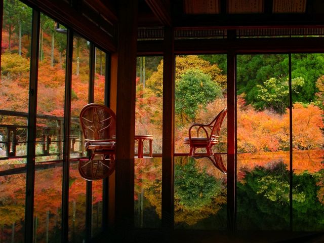 【佐賀県】息を呑む逆さ紅葉のリフレクション！環境芸術の森