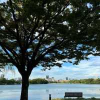 浮間公園：小橋流水🌸🏞️