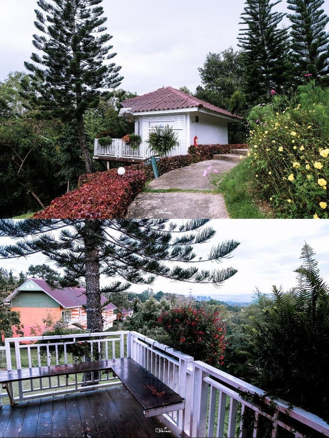 ภูแก้ว รีสอร์ท ที่พักบรรยากาศสุดฟิน เขาค้อ🌲