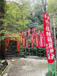 【神奈川県/鎌倉　白狐の置物がたくさん並ぶ神秘的な場所『佐助稲荷神社』】