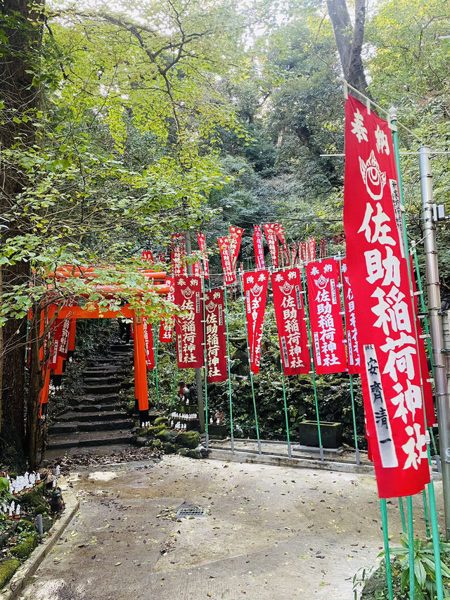 【神奈川県/鎌倉　白狐の置物がたくさん並ぶ神秘的な場所『佐助稲荷神社』】