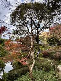【北九州旅行】 小倉城庭園アフタヌーンティー