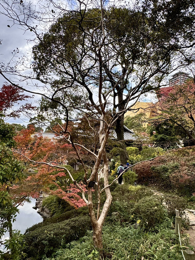 【北九州旅行】 小倉城庭園アフタヌーンティー