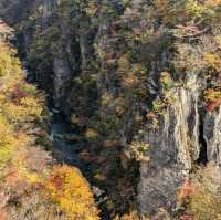 日本東北賞楓：鳴子峽與大深澤橋