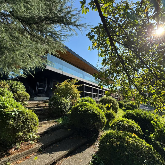寶池公園：綠意自然樂土 🌳✨