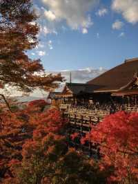 景點推薦：清水寺——京都紅葉絕景的經典地標