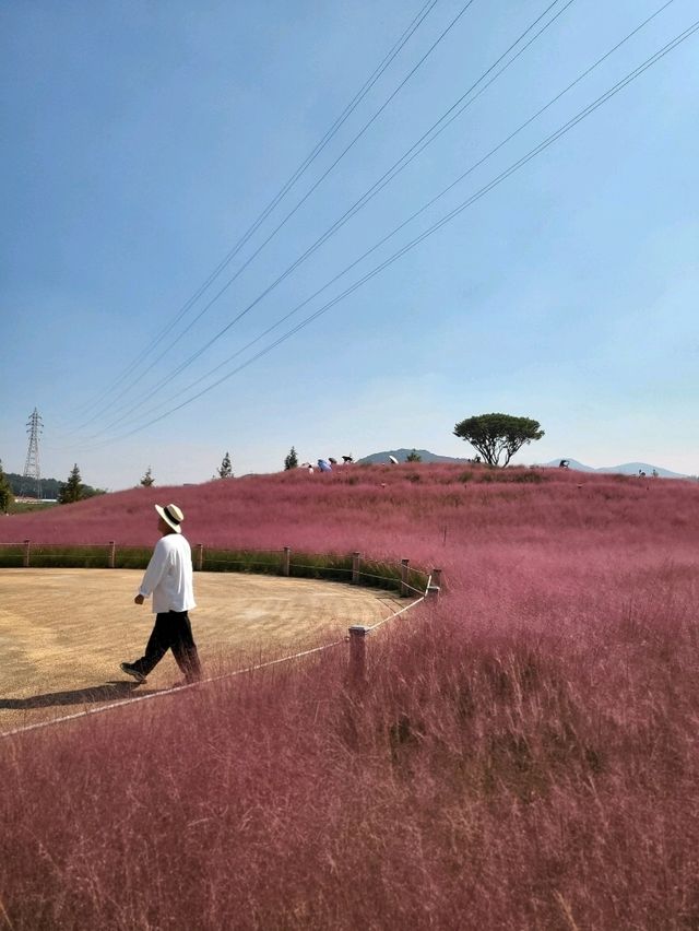 합천의 가을이 가장 아름다운 이유