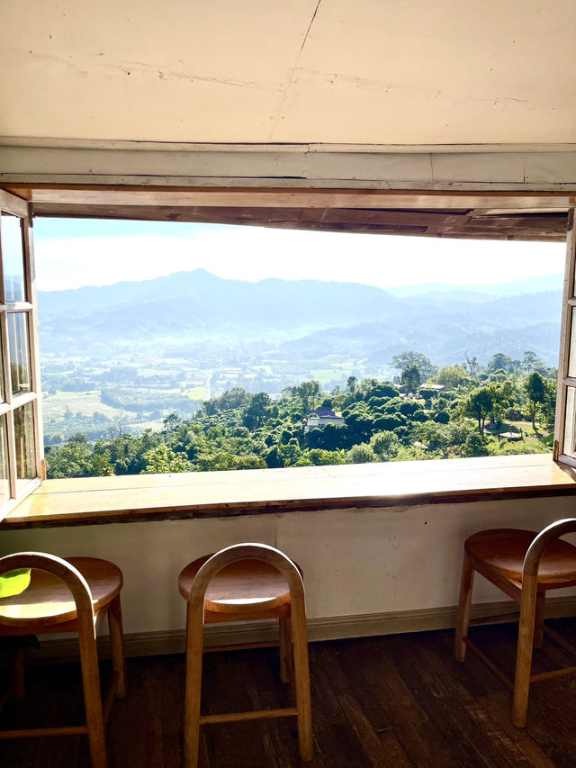 ดื่มด่ำวิวภูลังกา Magic Mountains Cafe