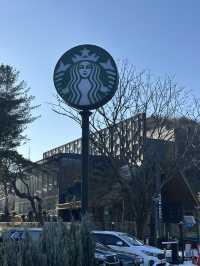 용인 고기리 산장 컨셉 ☕️ 광합성하기 좋은 통창유리의 대형 카페투어 추천 ❤️