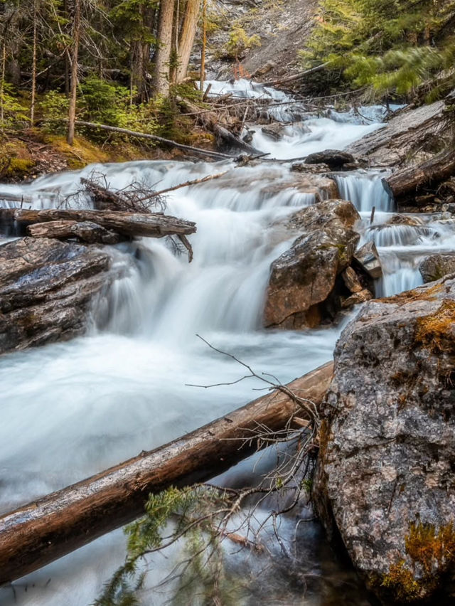 A Guide to Chasing Waterfalls in Yoho National Park