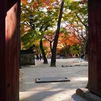 韓國大邱_Bulguksa 불국사 佛國寺_韓國國寶502號