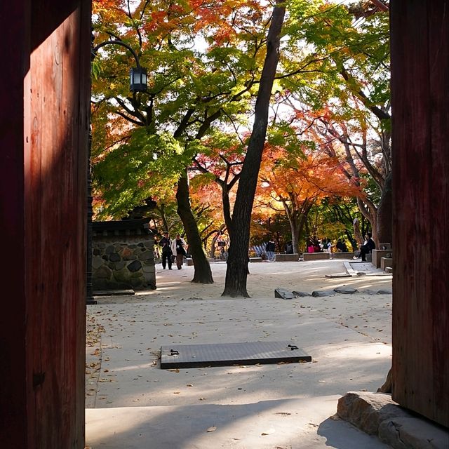 韓國大邱_Bulguksa 불국사 佛國寺_韓國國寶502號
