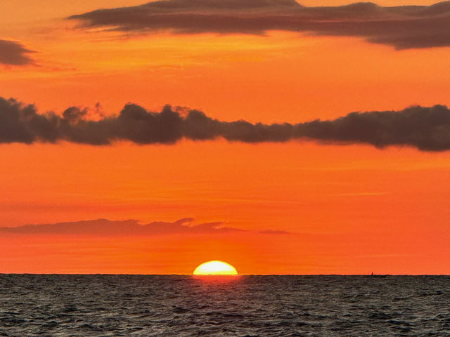 🦈 🌅 Chasing thresher sharks and sunsets 