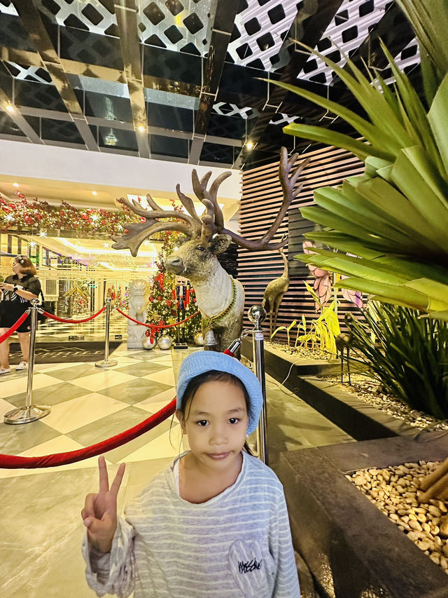 It's Christmas in YoyoLand
