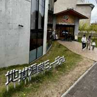 Beppu Hot Springs Hells Tour