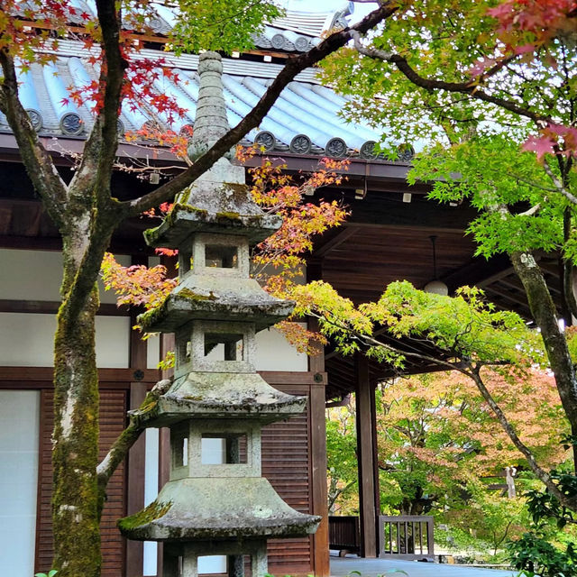 泉岳寺🪻靜謐的禪意