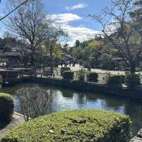 Edo wonderland 