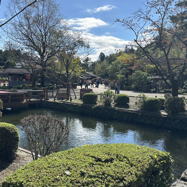 Edo wonderland 