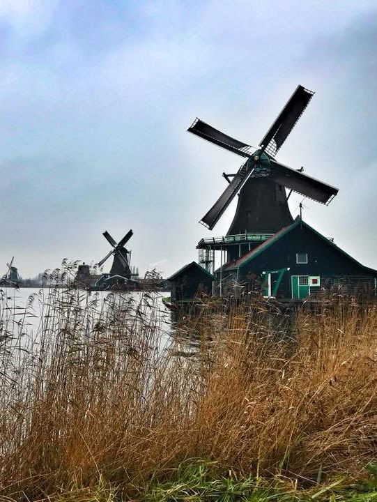 🇳🇱Windmills in Zaanse Schans🇳🇱