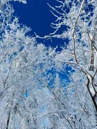 China Snow Town: A Winter Wonderland Straight Out of a Fairytale