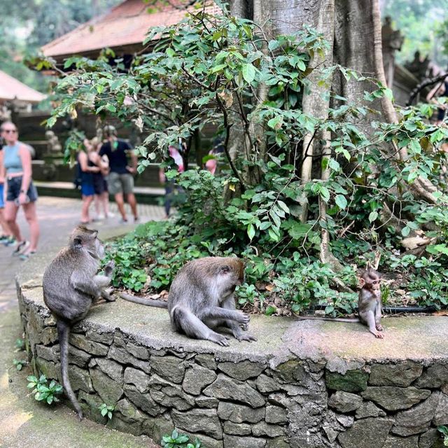 Monkey Forest Sanctuary