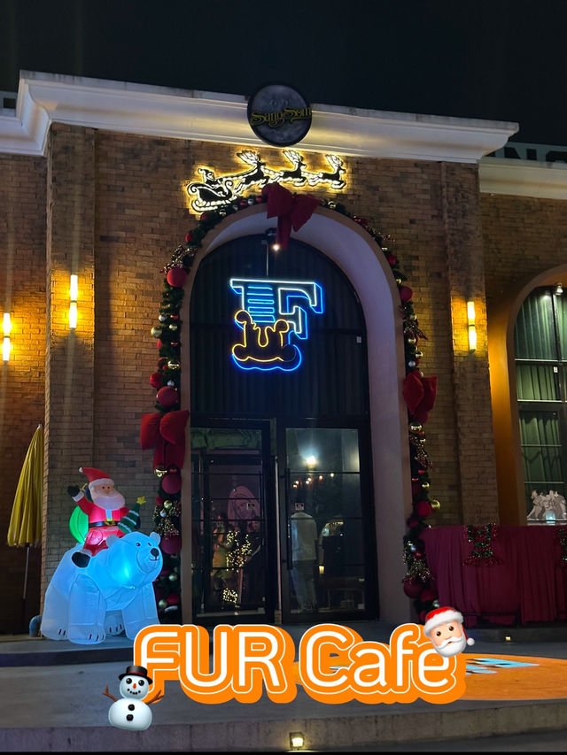เฟอร์Xmas 🎄
