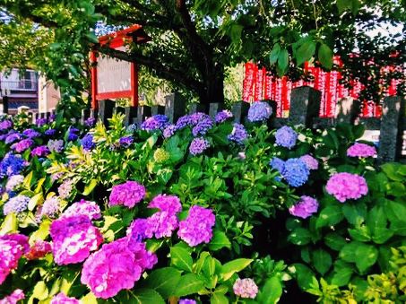 京都🇯🇵六孫王神社
