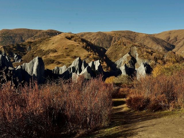 Flaring Rock Forest [Moshi Park in Autumn]