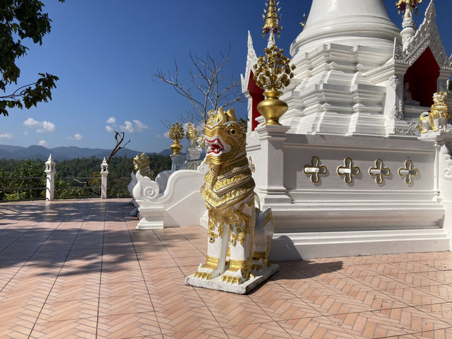 วัดพระธาตุจอมมอญ 