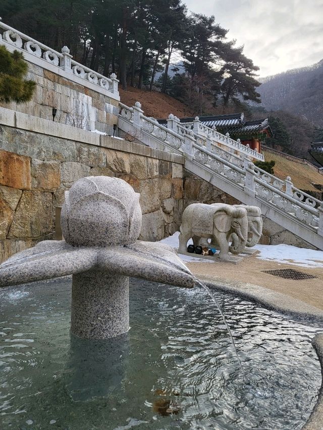 소원 한가지를 들어준다는 봉화 사찰