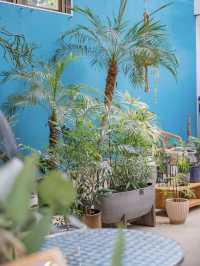 【東京】八丈島のトロピカル空間🪴たくさんの植物がお得に揃う！お土産にもおすすめ◎ 