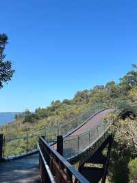 Perth 必去兩大景點～Perth 偶遇周杰倫同款藍色小屋 💙 Kings Park and Botanic Garden 國王公園