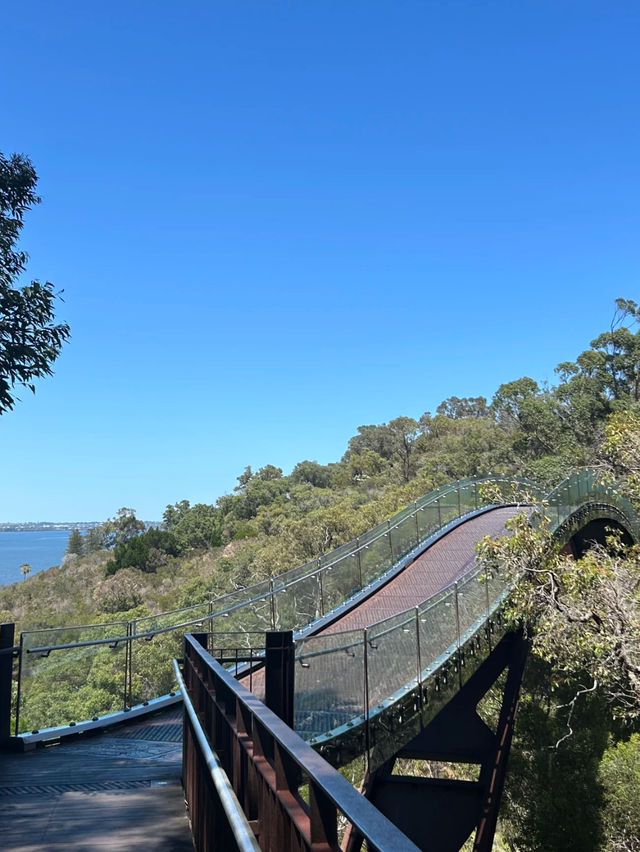 Perth 必去兩大景點～Perth 偶遇周杰倫同款藍色小屋 💙 Kings Park and Botanic Garden 國王公園