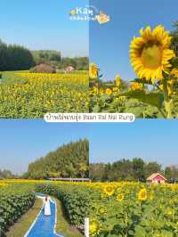 วันเดย์ทริป 🚗🌻 กาญจนบุรี