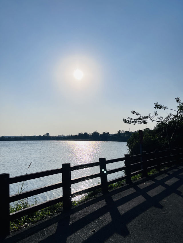 ［桃園旅遊］桃園埤塘1-16號池💧桃園小秘境