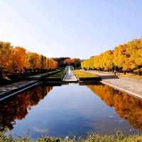 憶起東京秋天的童話~國營昭和記念公園