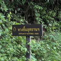 “อุทยานแห่งชาติขุนตาล” เดินป่าฮีลใจในวันหยุด