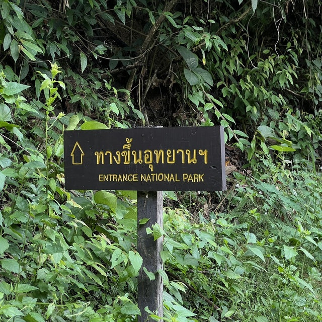“อุทยานแห่งชาติขุนตาล” เดินป่าฮีลใจในวันหยุด