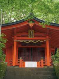新緑の箱根九頭龍神社🌿自然とご利益に癒される旅