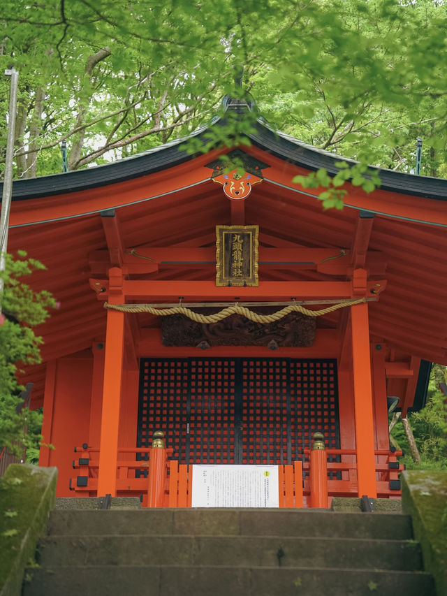 新緑の箱根九頭龍神社🌿自然とご利益に癒される旅